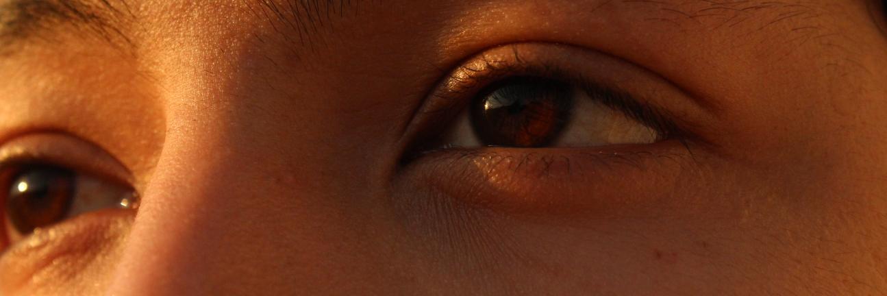RamiserjTankian's profile banner image