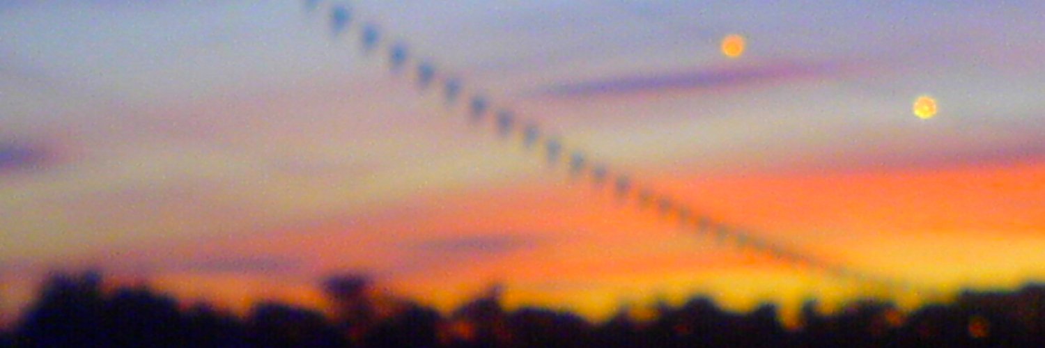 Abi Siri Andersen banner