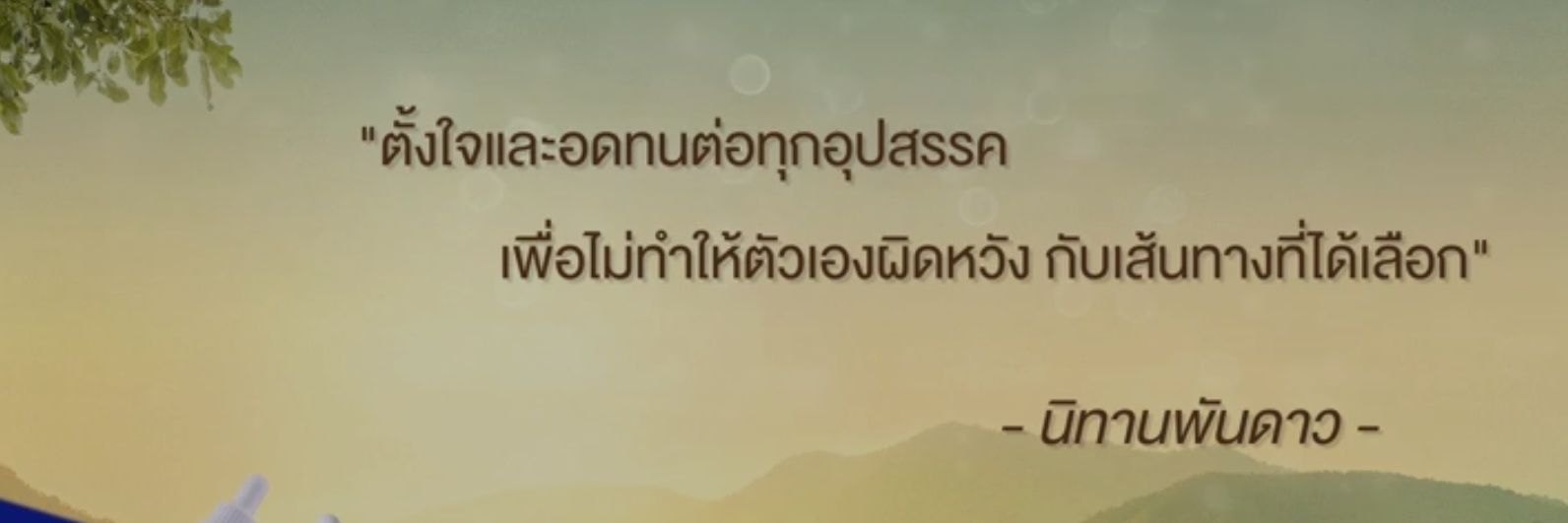 chiffonlxa's profile banner image
