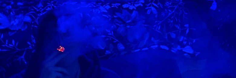 Jacey banner