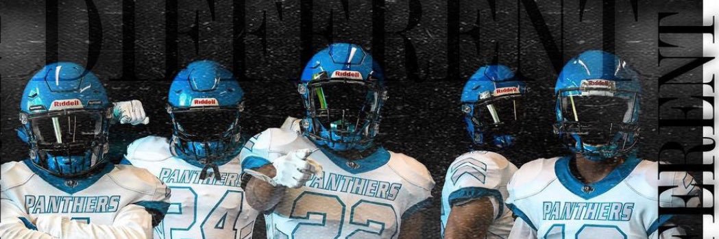 Cumberland Panthers banner