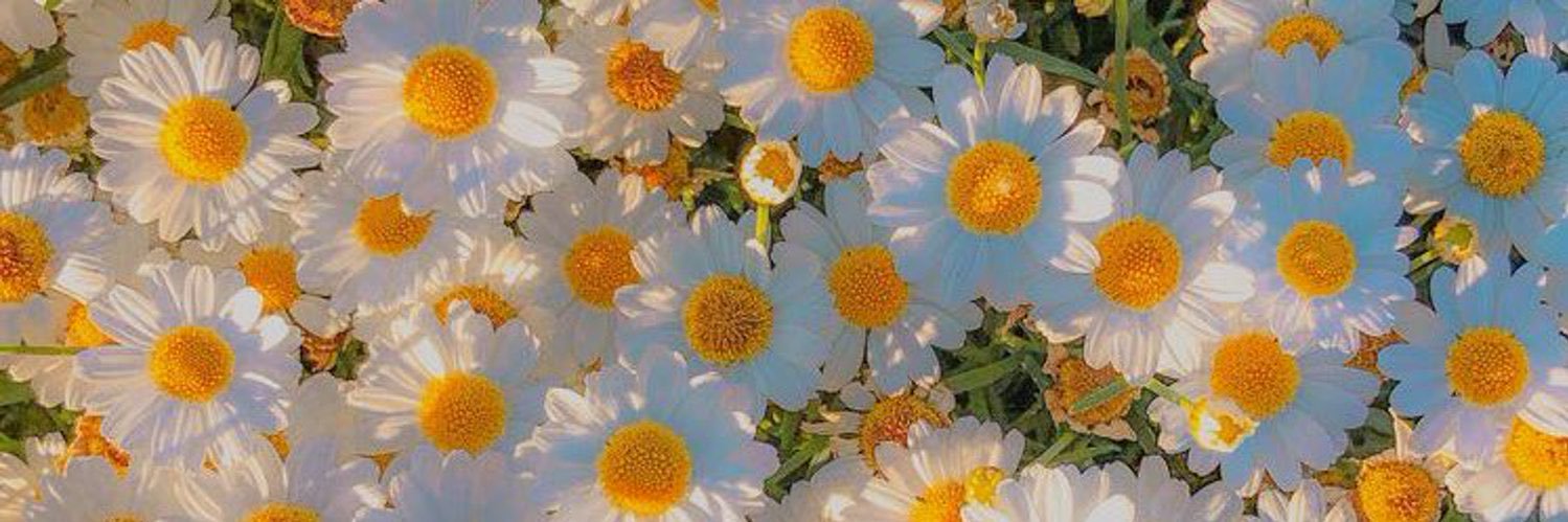 janemichelleg's profile banner image