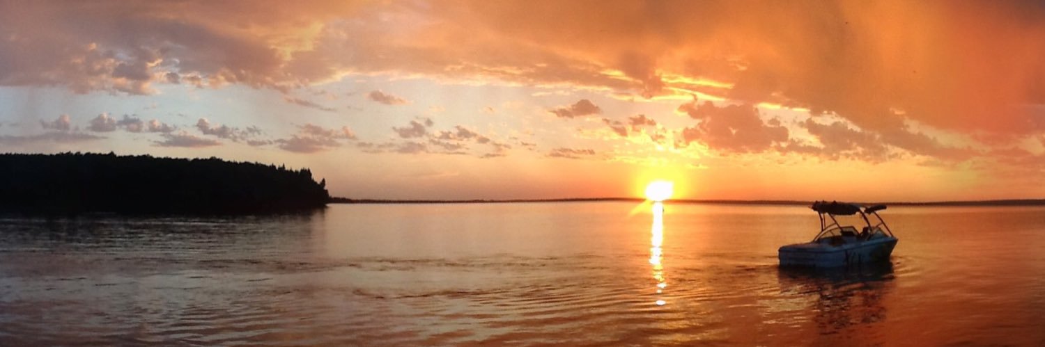 Steve Langston banner