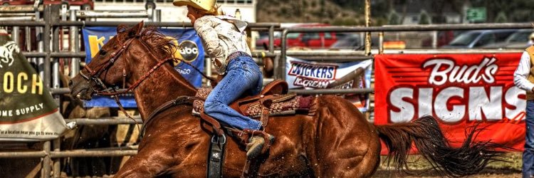RodeoRebel's profile banner image