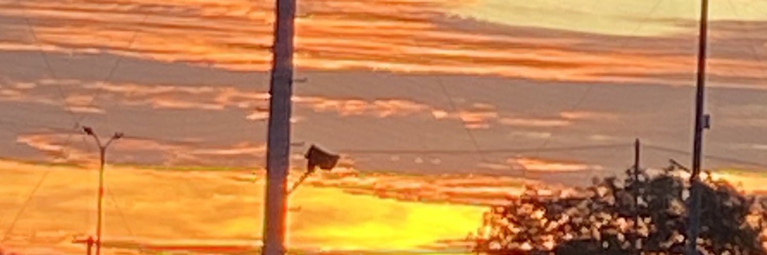 Sonar’s wife banner