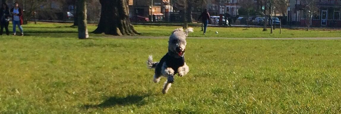 HuwsThere's profile banner image