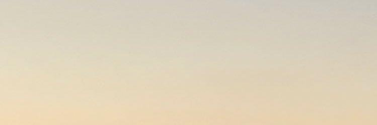 ozgebncc's profile banner image