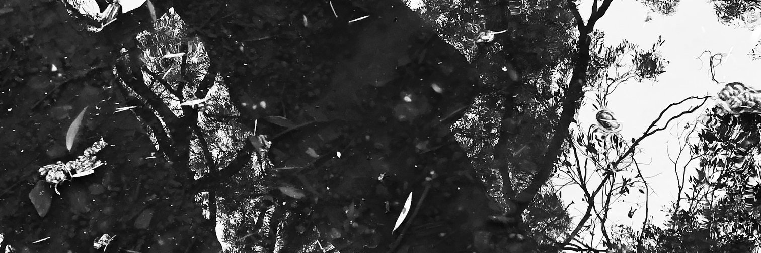 RupertSteiner's profile banner image