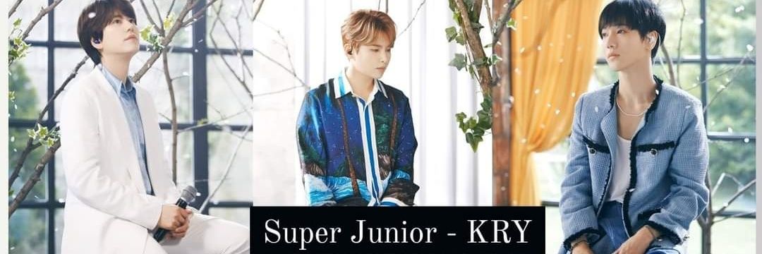 SJKRYPH's profile banner image