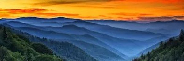 justwinginit17 Profile Banner