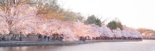 dcgov Profile Banner