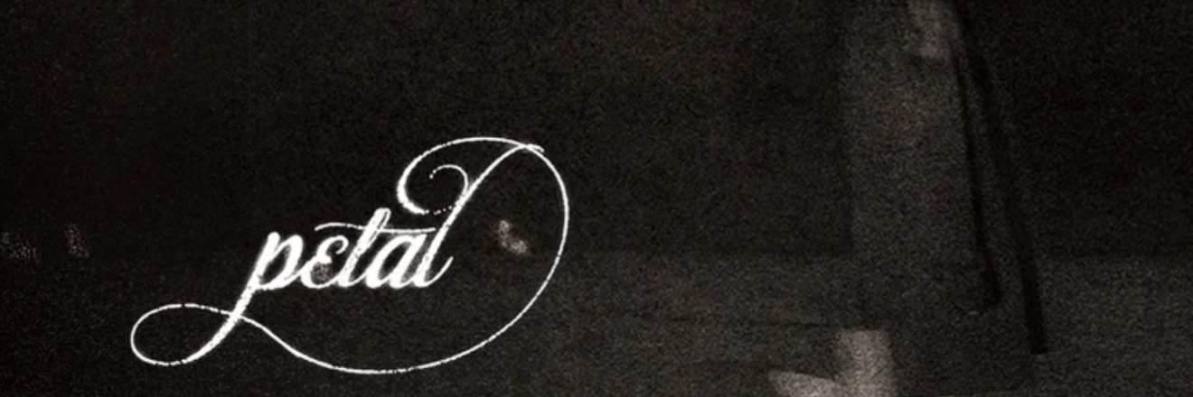 starzeinha's profile banner image