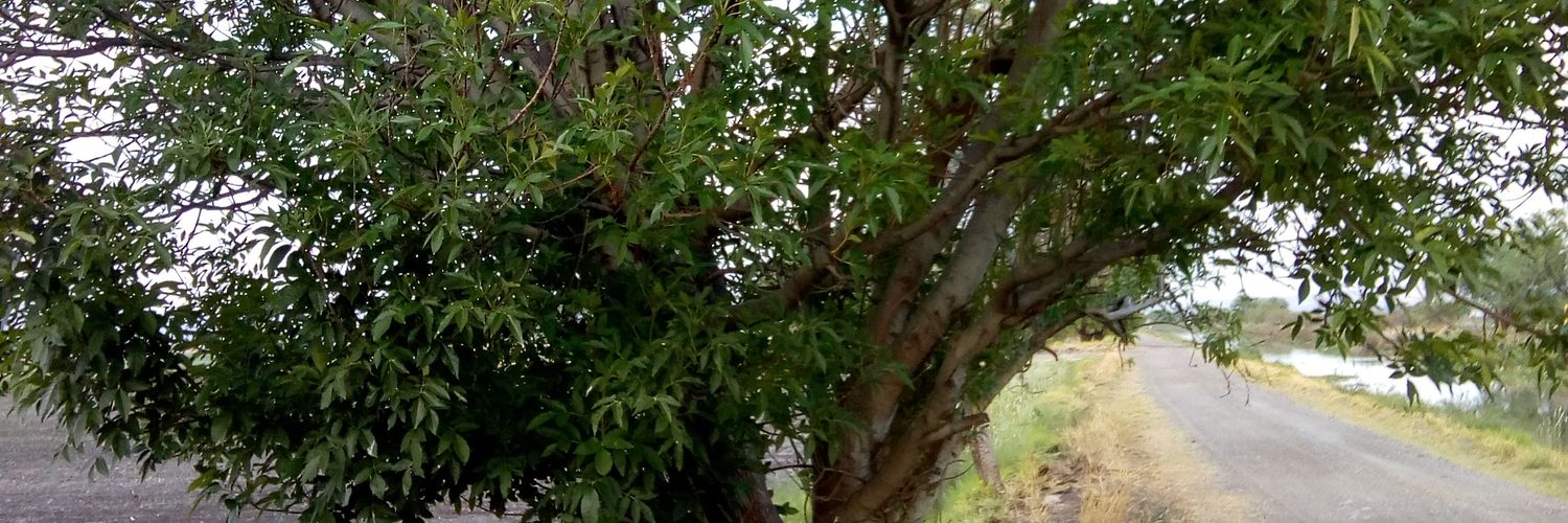 YepezVR's profile banner image