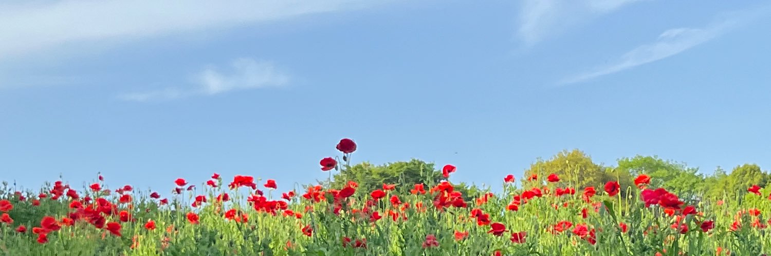 r_zmd's profile banner image