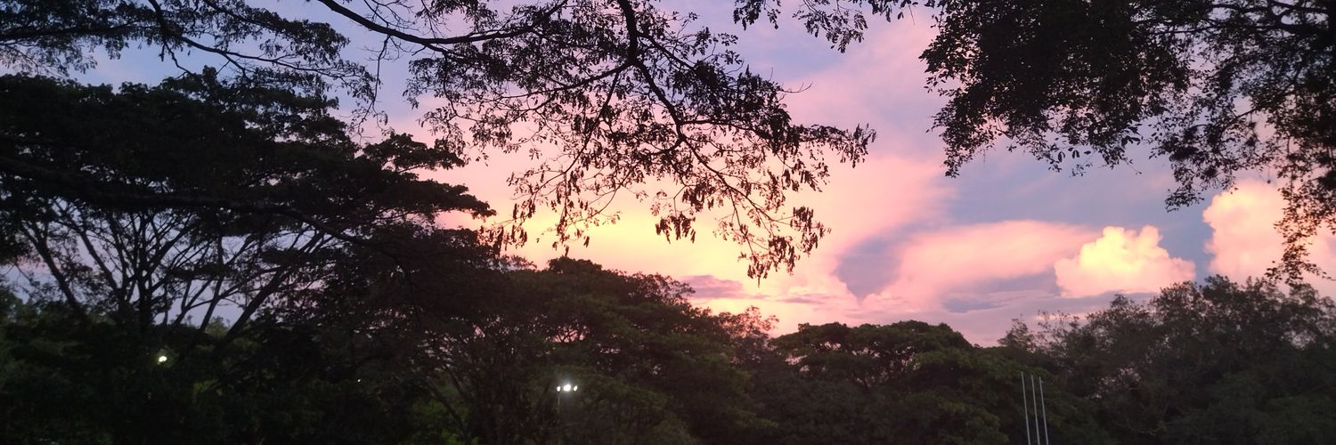 Natymitye's profile banner image