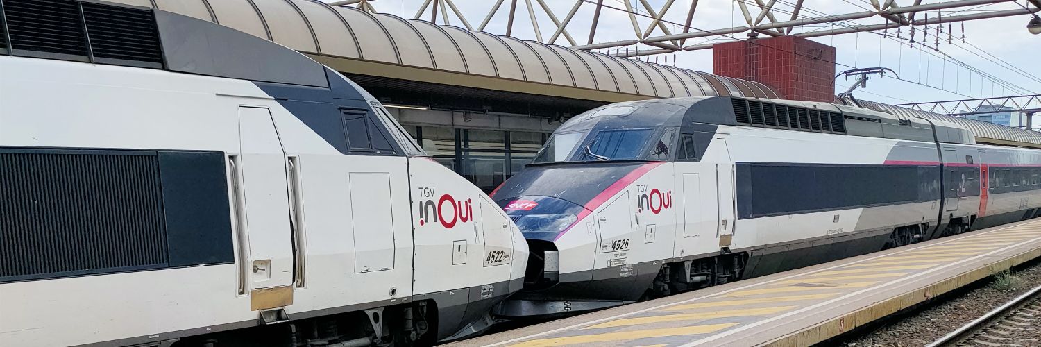 🇵🇸♿ Héloïs•e - The wheelie Twinkbutch ♿🏳️‍⚧️ banner