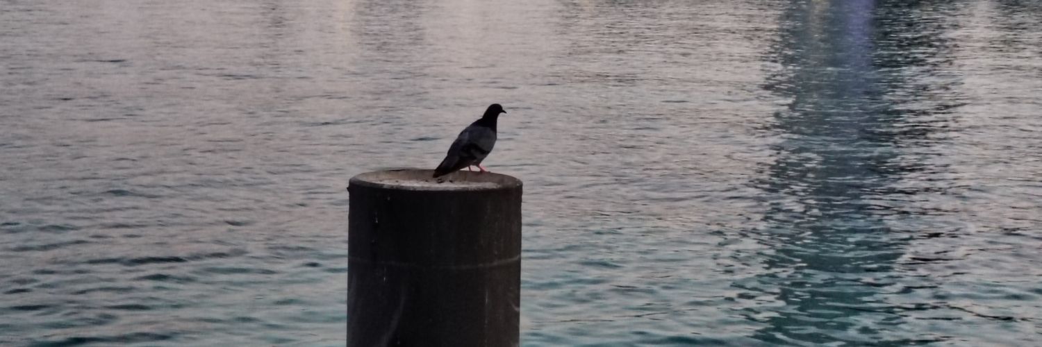 واحد من الناس banner