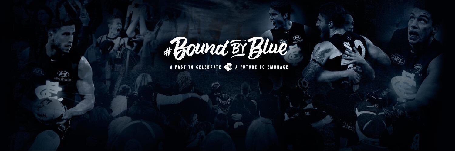 bluebaggerboy's profile banner image