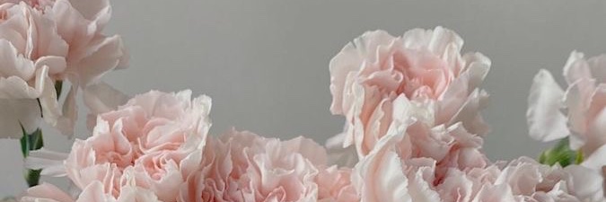 Paolnz's profile banner image