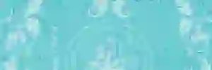 Hell_KicK's profile banner image