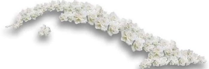 The Unnamed Warrior banner