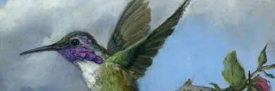 dws_will's profile banner image