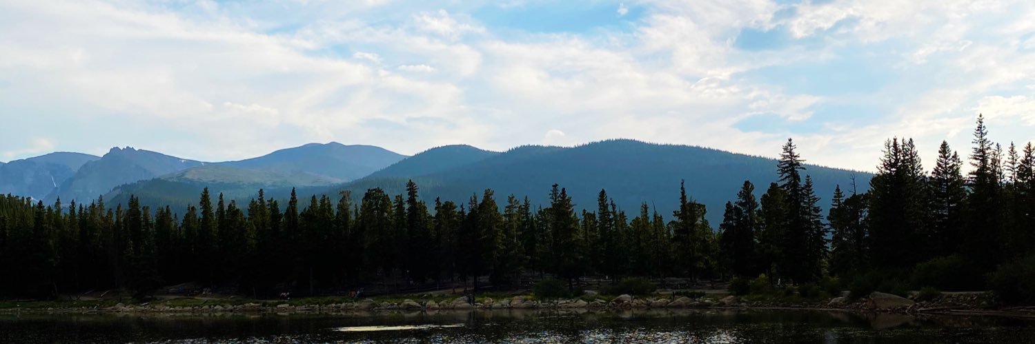 dvnsglr's profile banner image