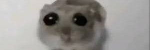 BlorbMain's profile banner image