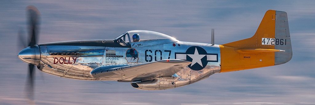 NAP51DMustang banner