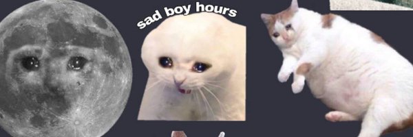 addymil Profile Banner