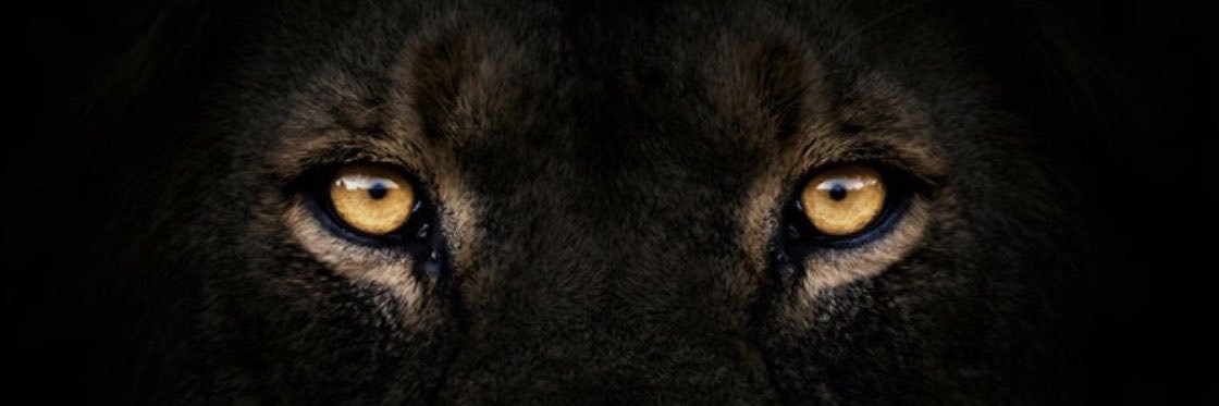 stizzystickz's profile banner image