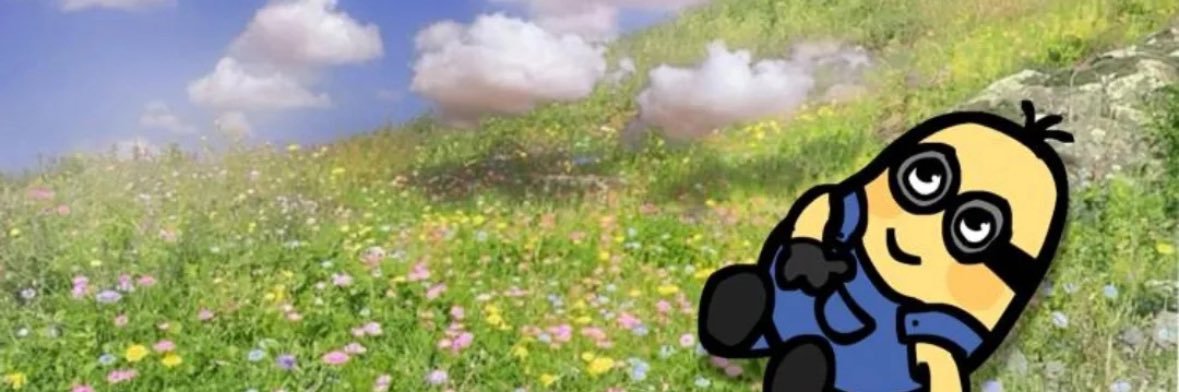annburd's profile banner image