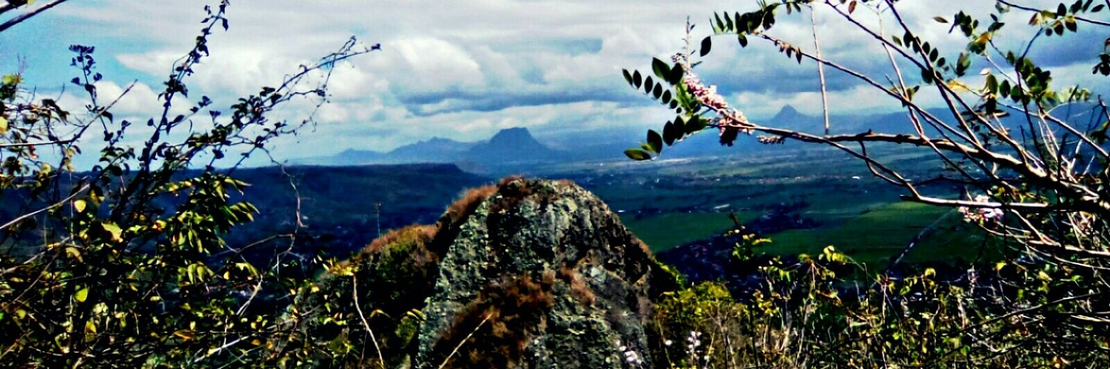 lestari_ky's profile banner image