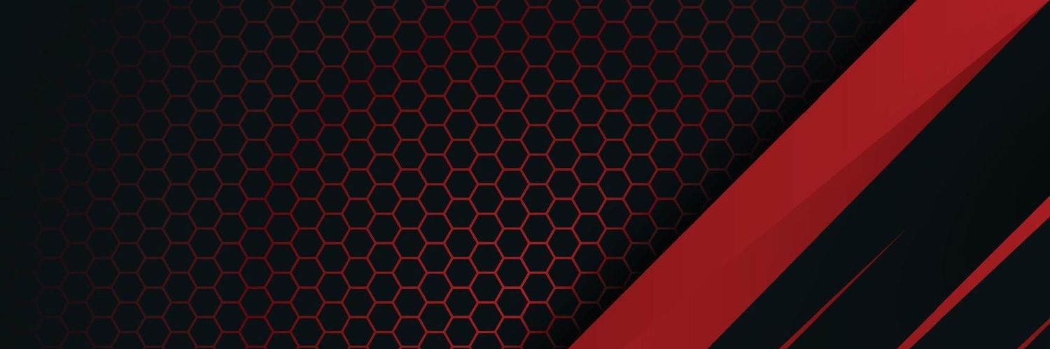 °♡𝗟𝗶𝗴𝗻𝘆♡°🇭🇳📚 Feligami canon💘 banner