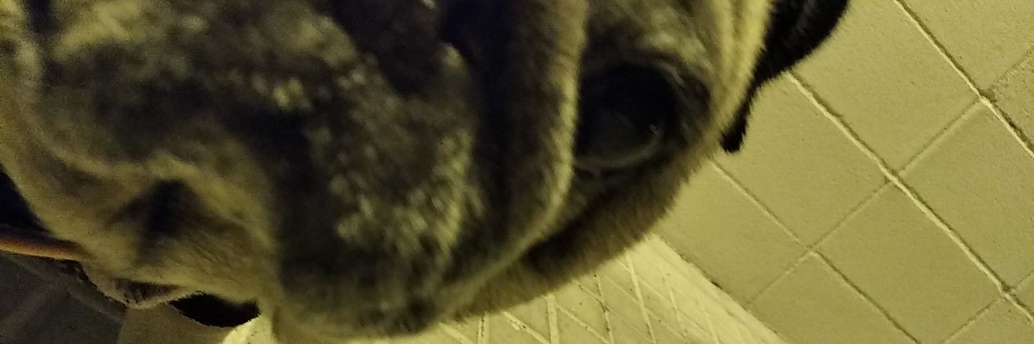 ( fck Vox) banner