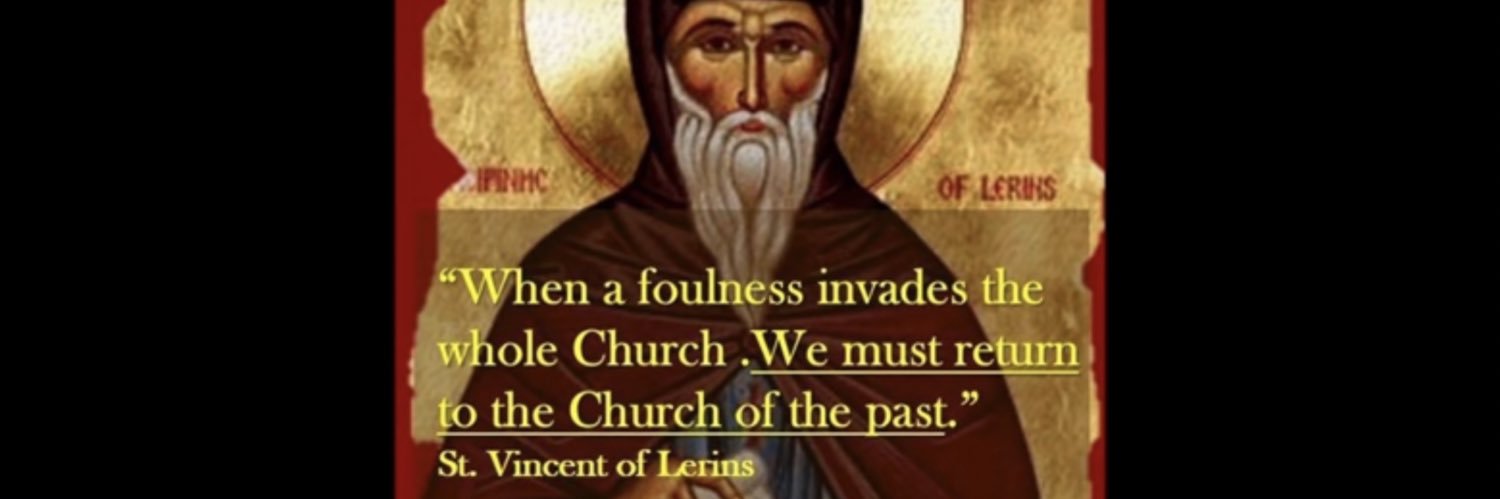 Fr. Stephen Lefort 🍄's banner