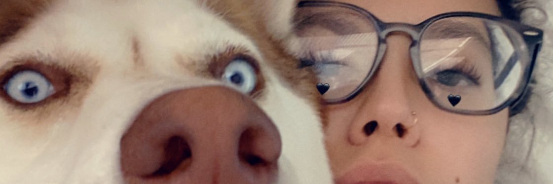 Shellitto's profile banner image