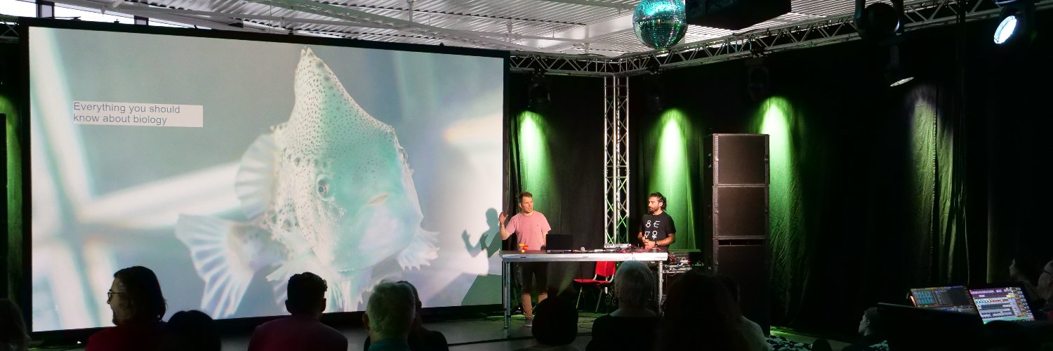 Runar Gjerp Solstad banner