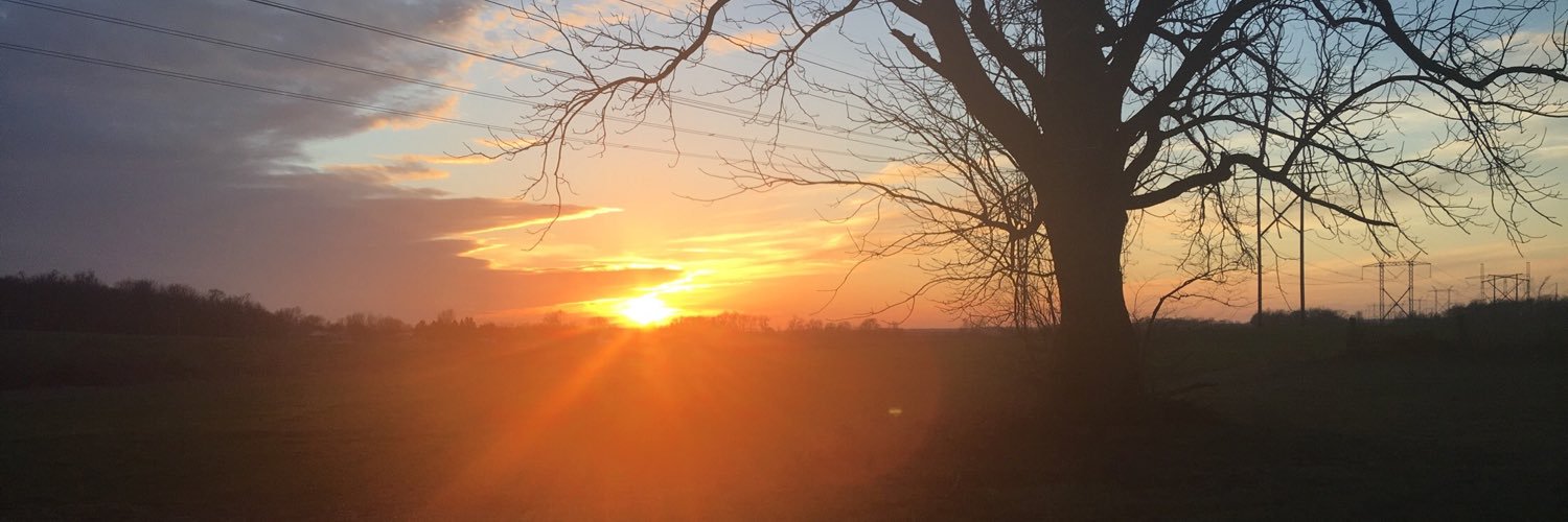 ashleysisk6's profile banner image