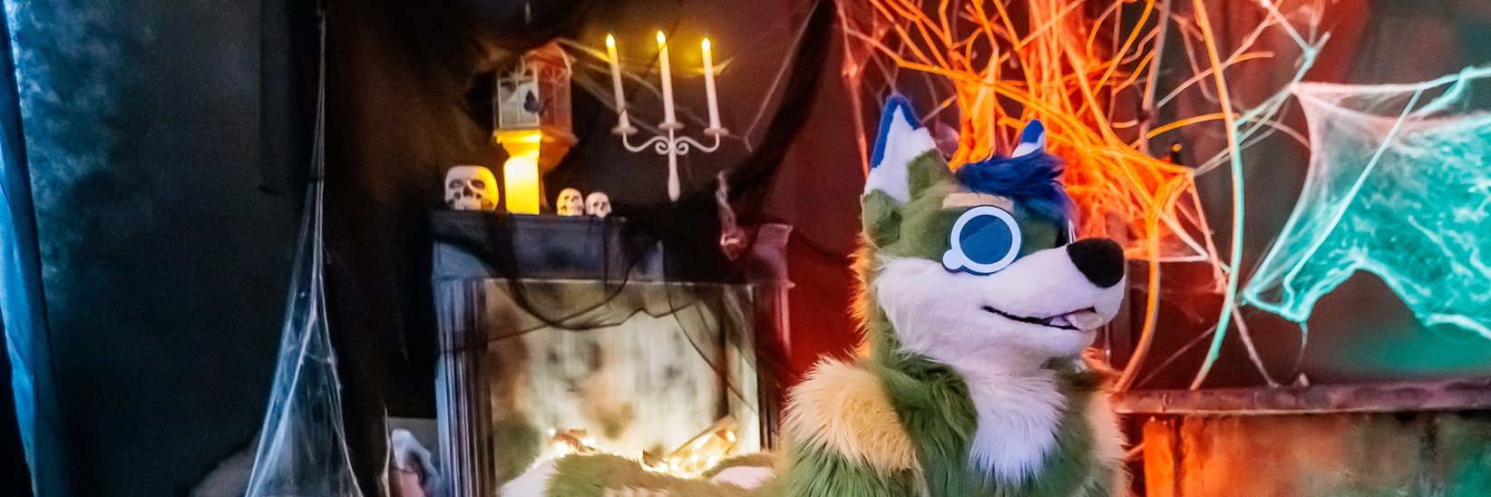 Wufuzz ➡️ ThaiTails 🇹🇭 banner