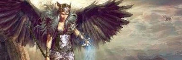 ValkyrieSoVa Profile Banner