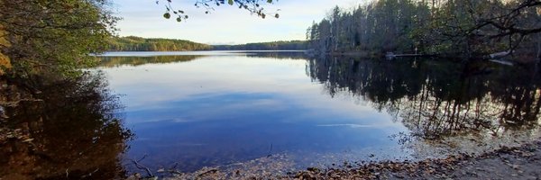 RTSaloX Profile Banner