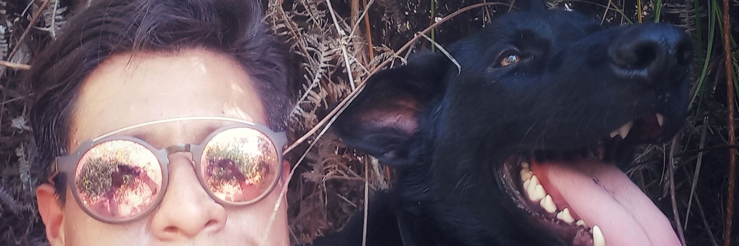 CocoLedezma's profile banner image
