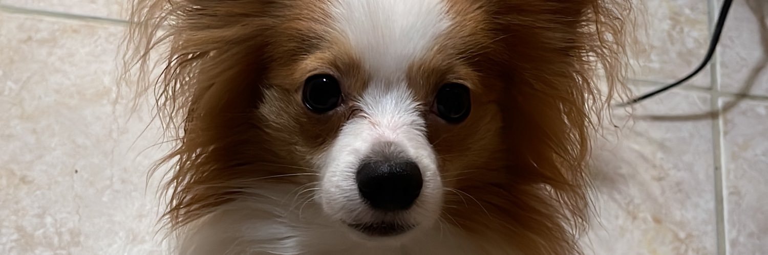 marknvk25's profile banner image