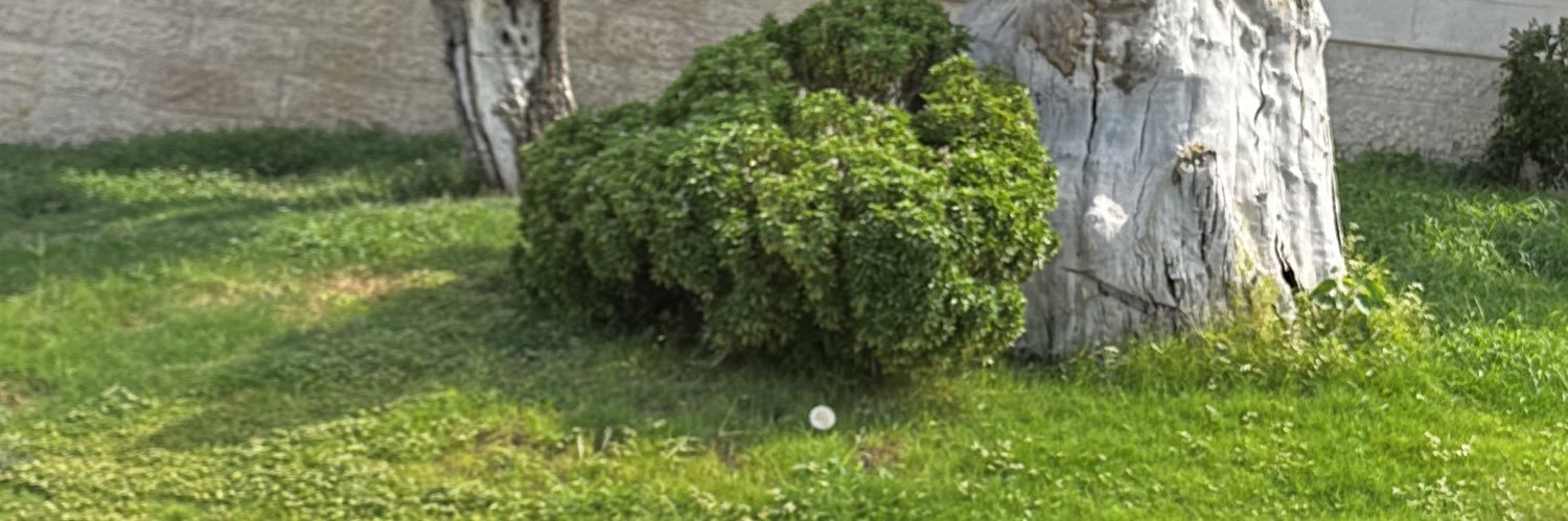 Aaljssim's profile banner image