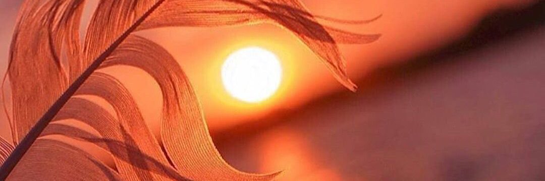 Anykuni's profile banner image