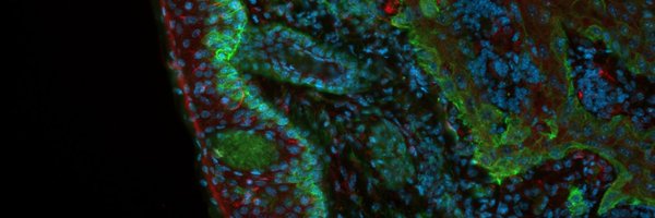 PeterFRenz3 Profile Banner