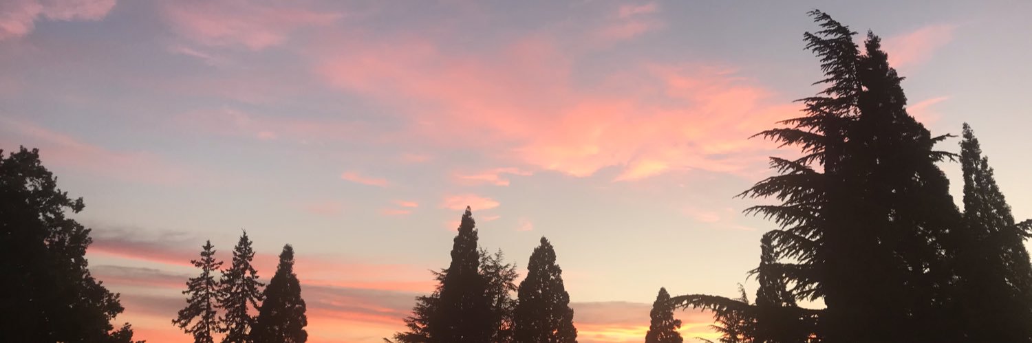 SrAlisonGreen's profile banner image