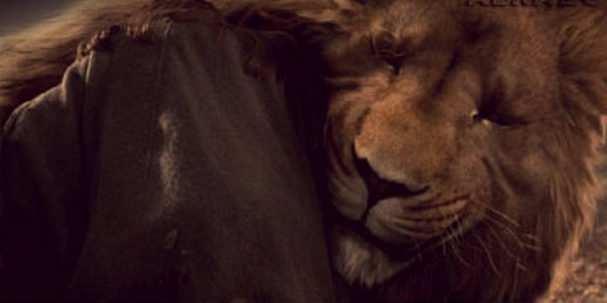 MafeMonroy27's profile banner image