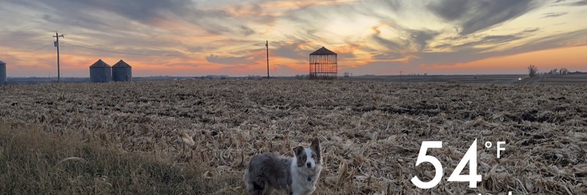 Farm3rs_Daughtr's profile banner image